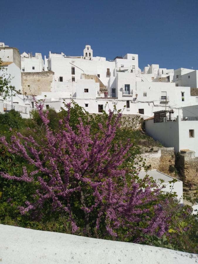 Micasa Im Zentrum Von Vejer مْبيخير ذي لا فرونتيرا المظهر الخارجي الصورة